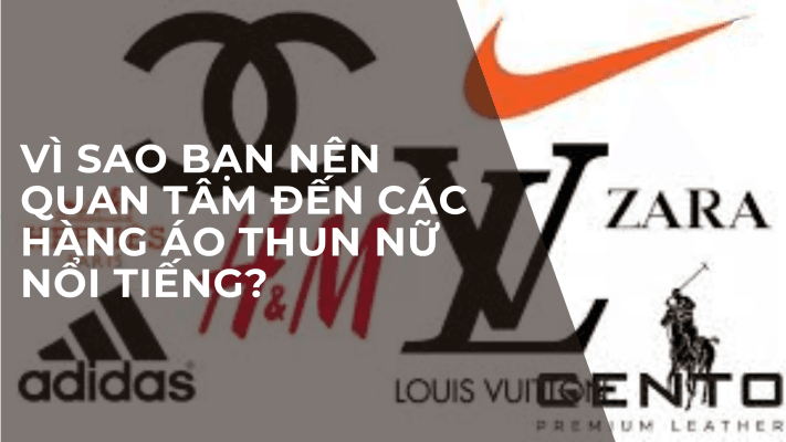 Vì sao bạn nên quan tâm đến các hàng áo thun nữ nổi tiếng?